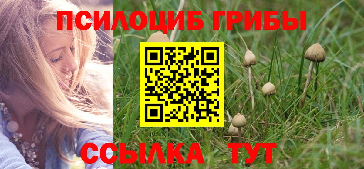 Псилоцибиновые грибы Psilocybe  купить наркотик  Евпатория  Вход с VPN 